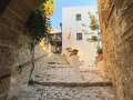 Skyros Castle Town