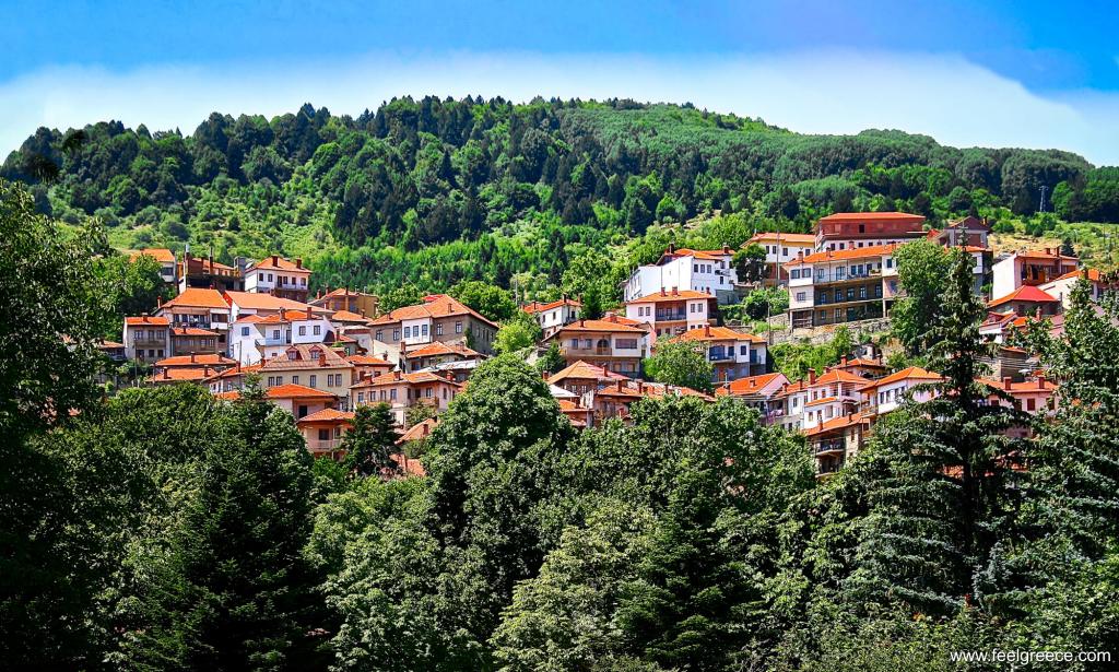 Houses of the village on a mountain slope