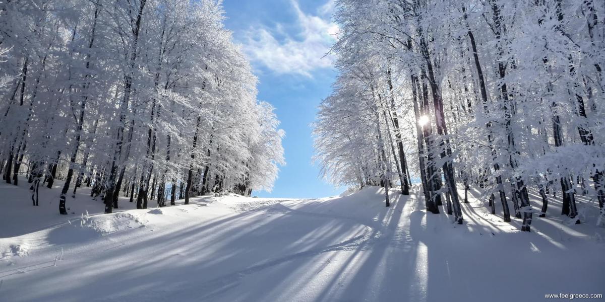 Winter landscape near Vigla ski center