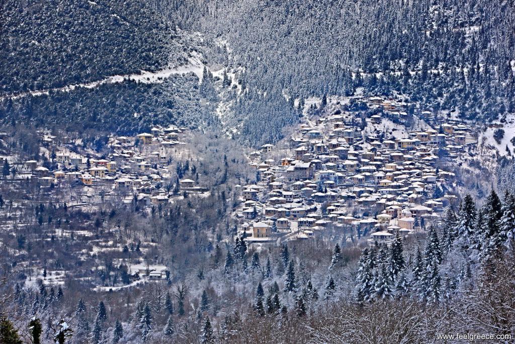 Snow-covered village on the slope of the mountain