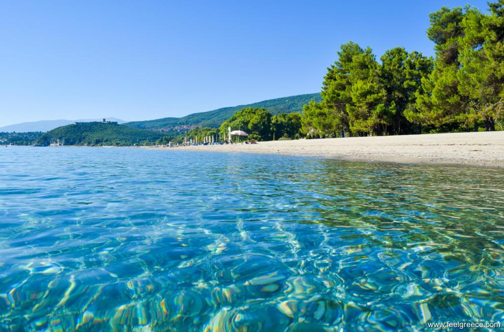 Beach with trees, transparent water and pebbles