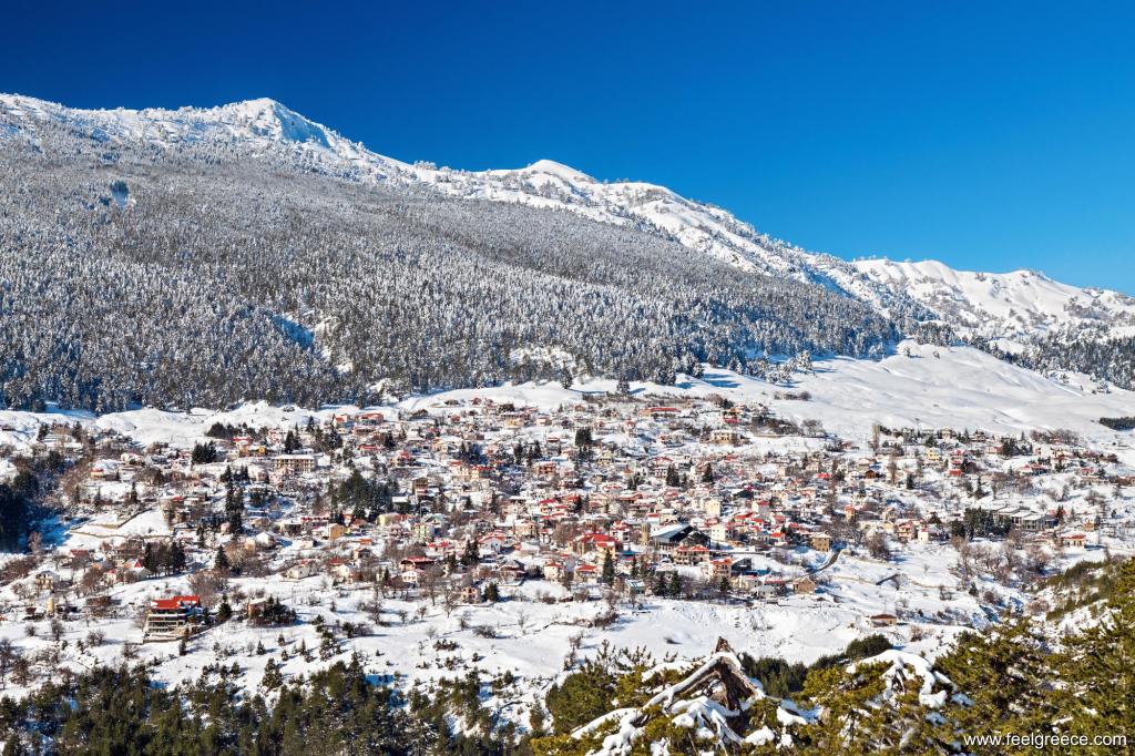 Village and mountain covered with snow