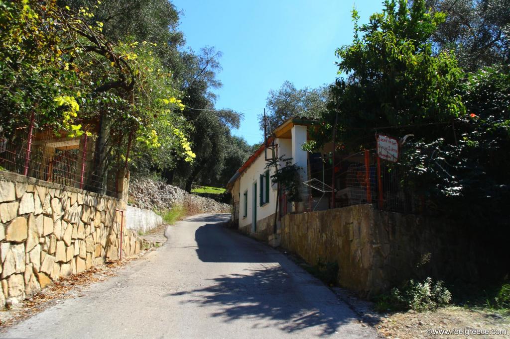 The narrow road passing through the village