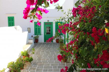 White building with green door and cyclamen flowers