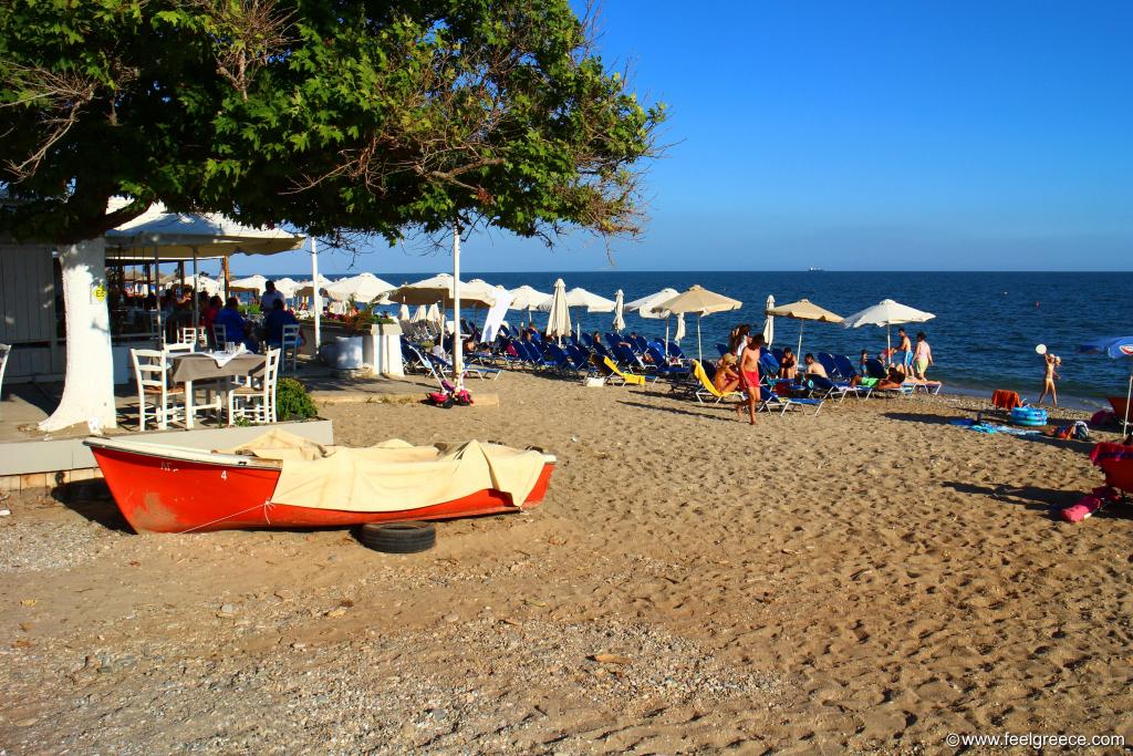 Sunbeds, umbrellas and taverna at the organized part of the beach