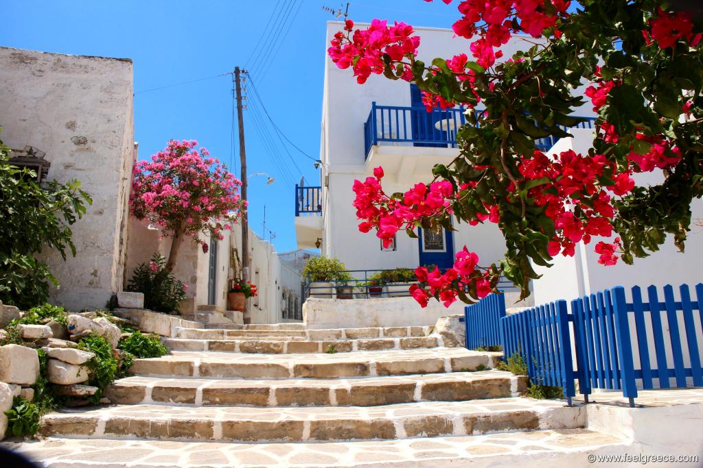 Cycladic dream with pink flowers, white walls and blue windows