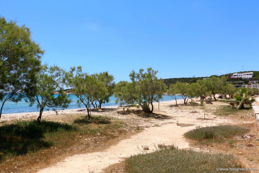 The trees on the beach end towards the village center