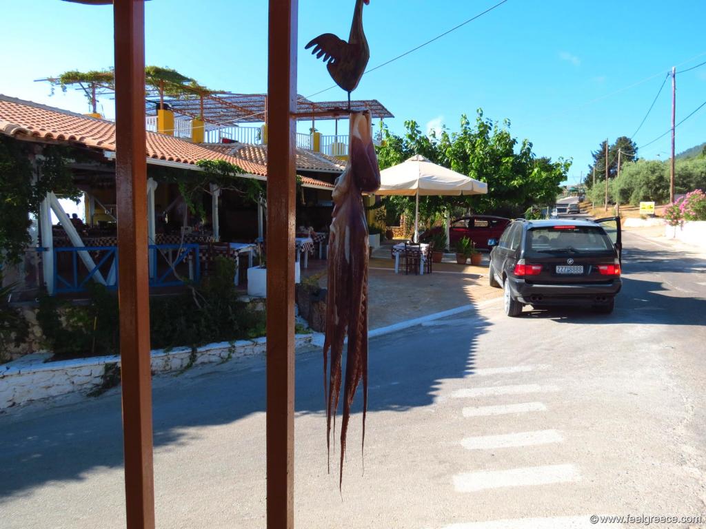 Taverna by the road and octopus drying on the sun