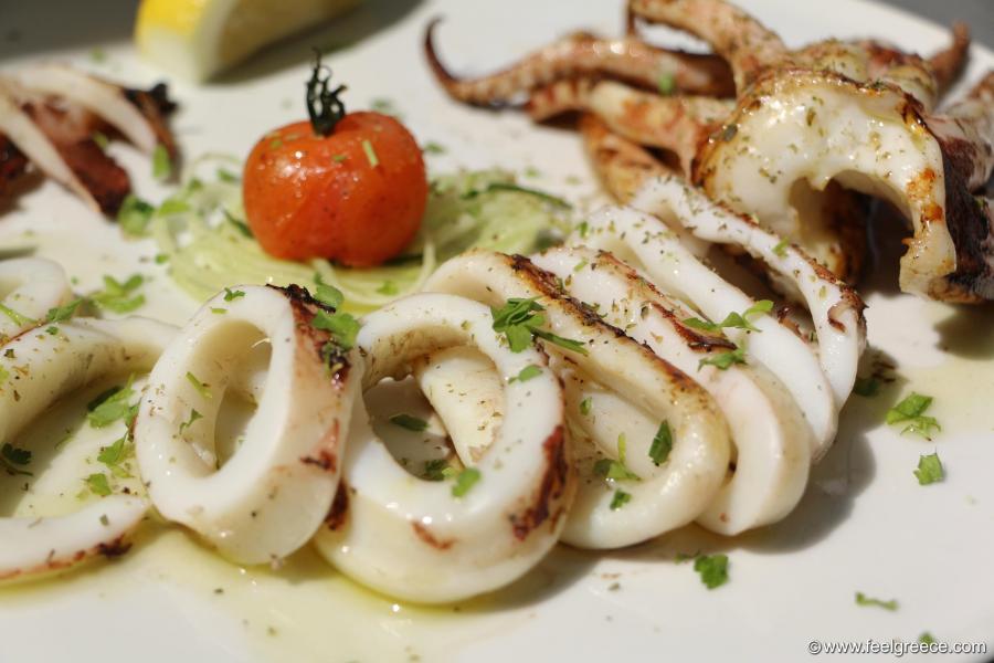 Slices of grilled squid with herbs and olive oil